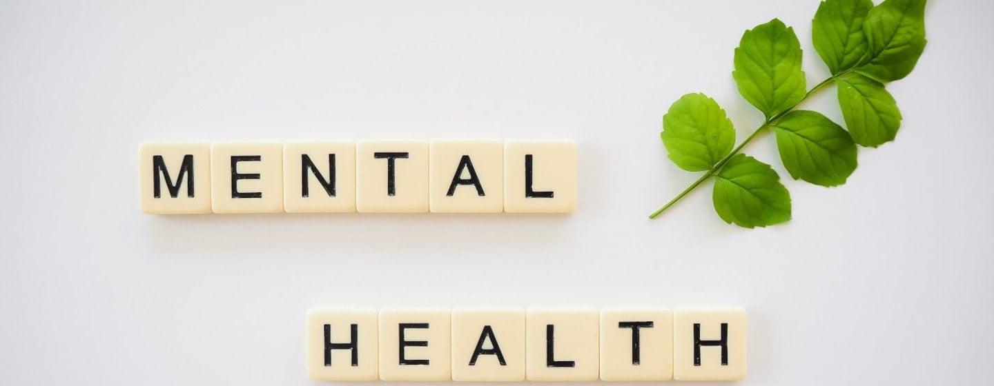 The Challenges of Mental Health &amp; Wellness for Veterans